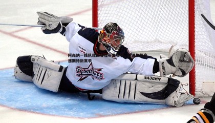 千亿球友会-阿森纳一线队现四名加布里埃尔，球迷热情高涨期待新赛季