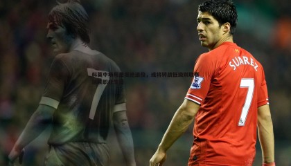 千亿球友会-科莫中场阿里拒绝退役，或将转战低级别联赛延续职业生涯